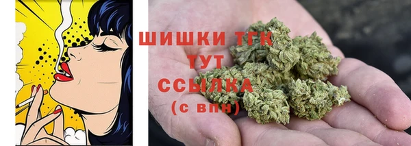 apvp Богородицк