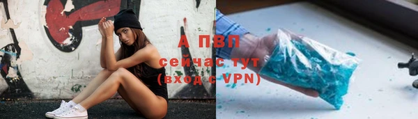 spice Белокуриха
