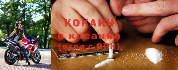 винт Богданович