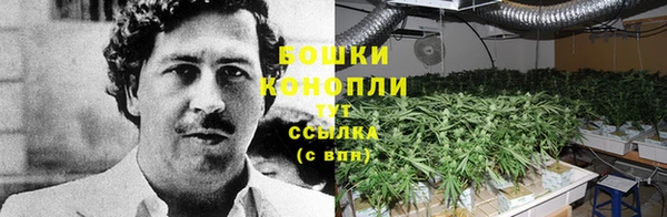 spice Белокуриха