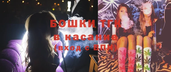 apvp Богородицк